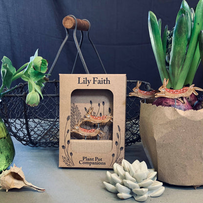 A Hare Plant Pot Companions available to buy from Fig and Rose Home.