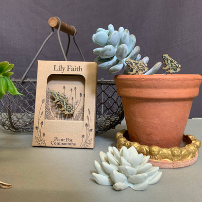 A Frog Plant Pot Companions available to buy from Fig and Rose Home.