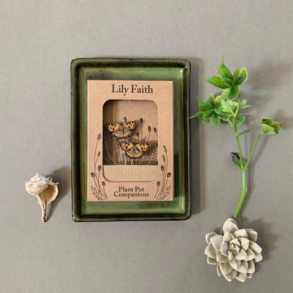 A Tortoiseshell Butterfly Plant Pot Companions available to buy from Fig and Rose Home.