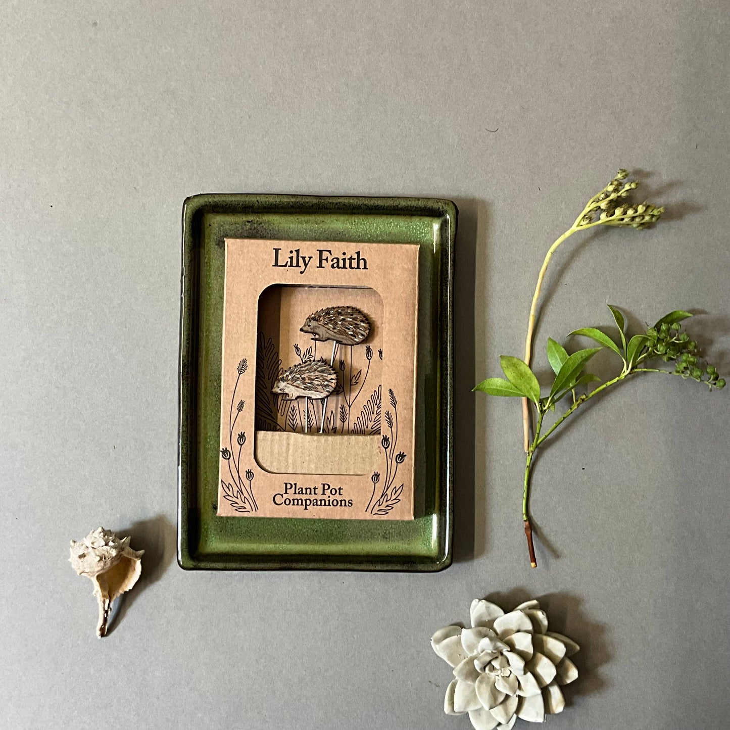 A Hedgehog Plant Pot Companions available to buy from Fig and Rose Home.