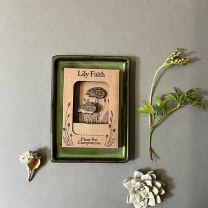 A Hedgehog Plant Pot Companions available to buy from Fig and Rose Home.