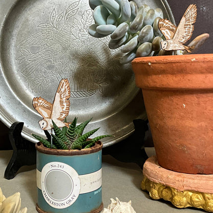 A Barn Owl Plant Pot Companions available to buy from Fig and Rose Home.