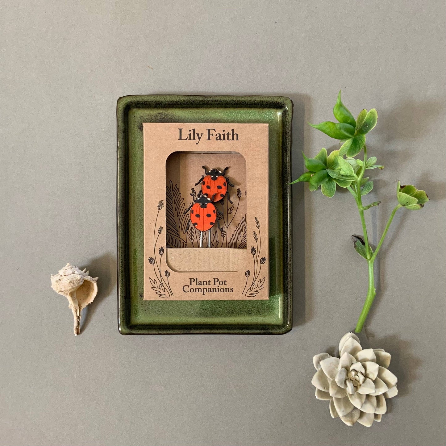 A Ladybird Plant Pot Companions available to buy from Fig and Rose Home.