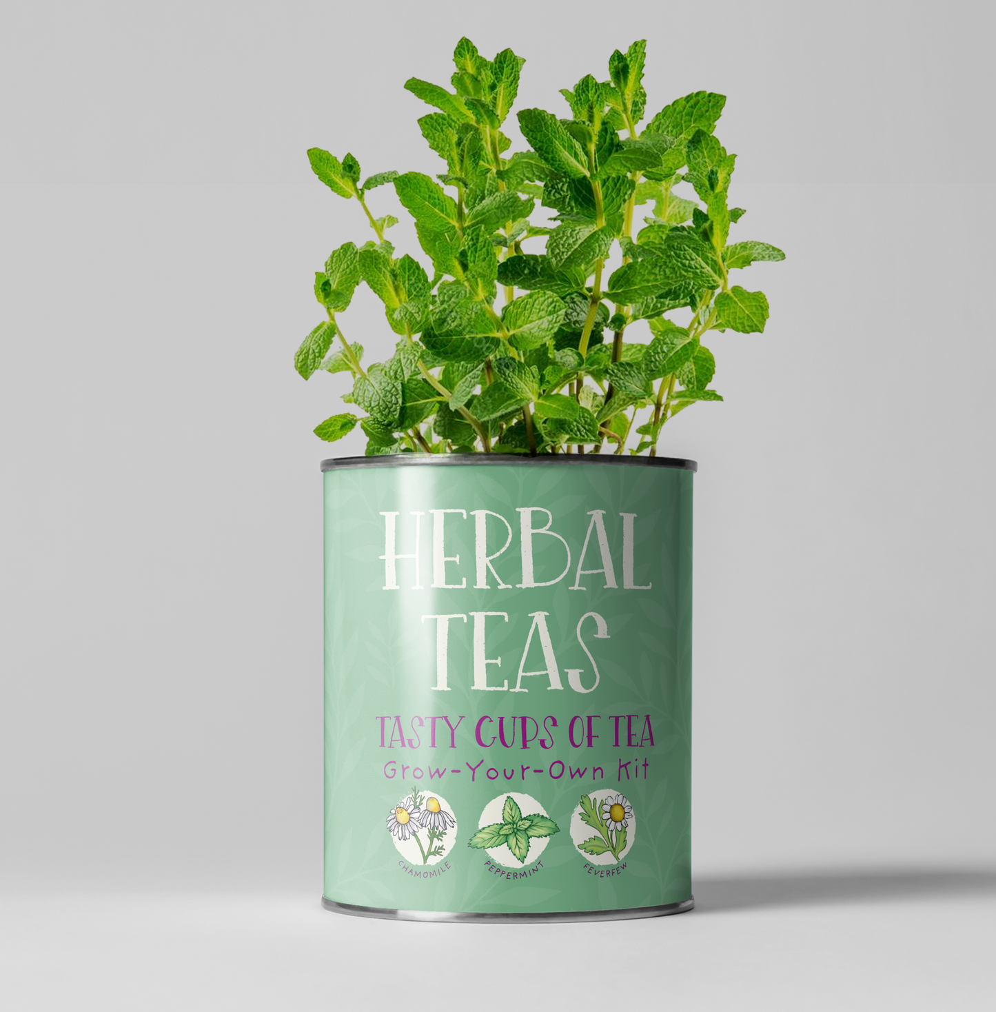 A Herbal Tea Growing Kit available to buy from Fig and Rose Home.