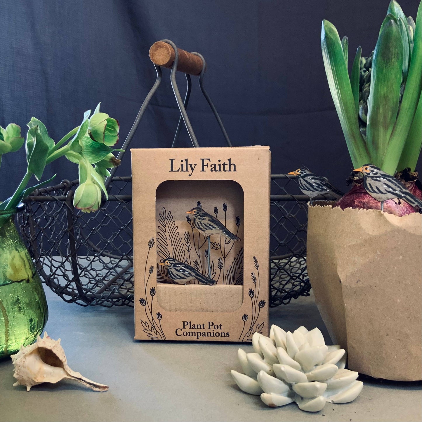 A Black Bird Plant Pot Companions available to buy from Fig and Rose Home.