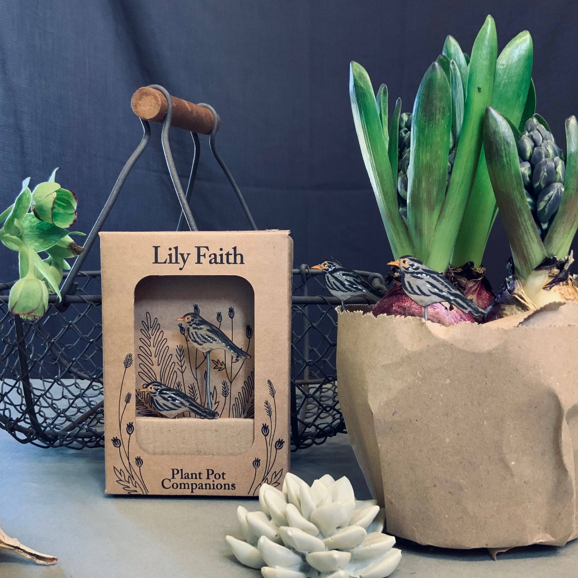 A Black Bird Plant Pot Companions available to buy from Fig and Rose Home.