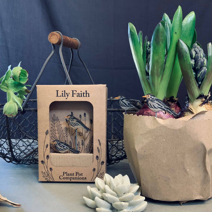 A Black Bird Plant Pot Companions available to buy from Fig and Rose Home.