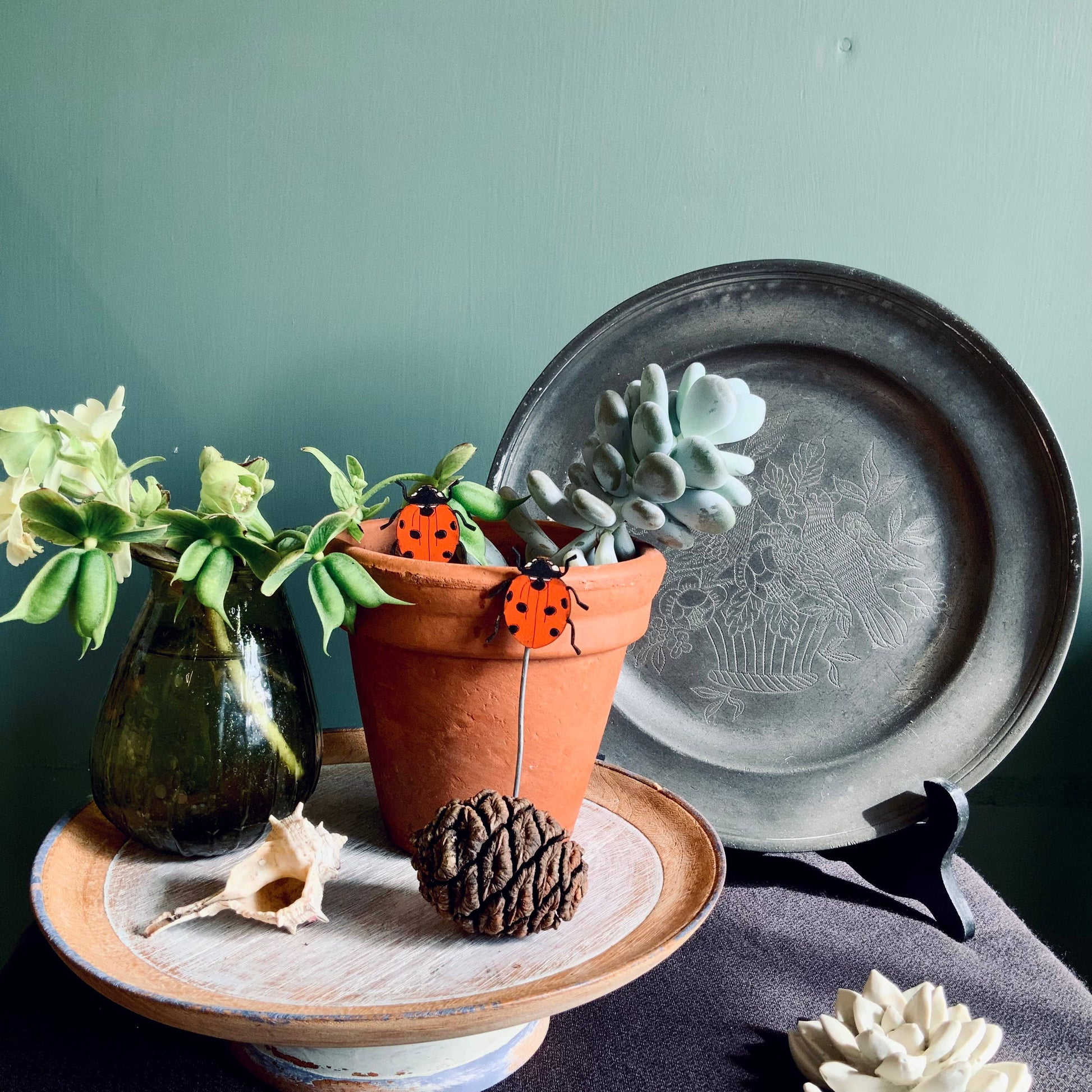 A Ladybird Plant Pot Companions available to buy from Fig and Rose Home.