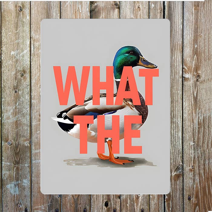 A What The Duck Metal Sign Plaque available to buy from Fig and Rose Home.