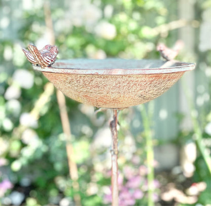 Cast Iron Bird Bathfrom Fig and Rose