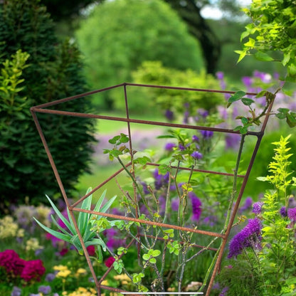 Square Peony Plant Supports from Fig and Rose.