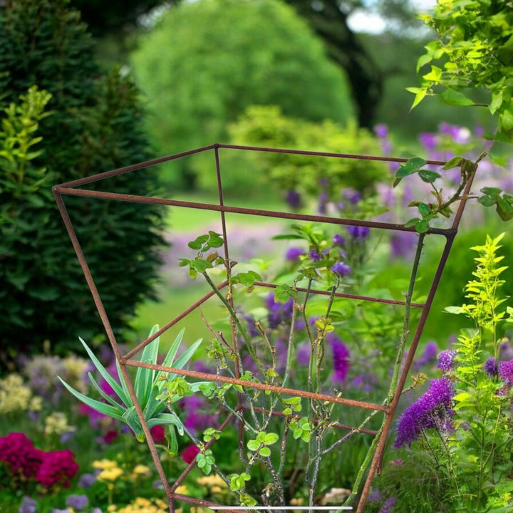 Plant Supports | Garden Plant Supports | Fig and Rose UK