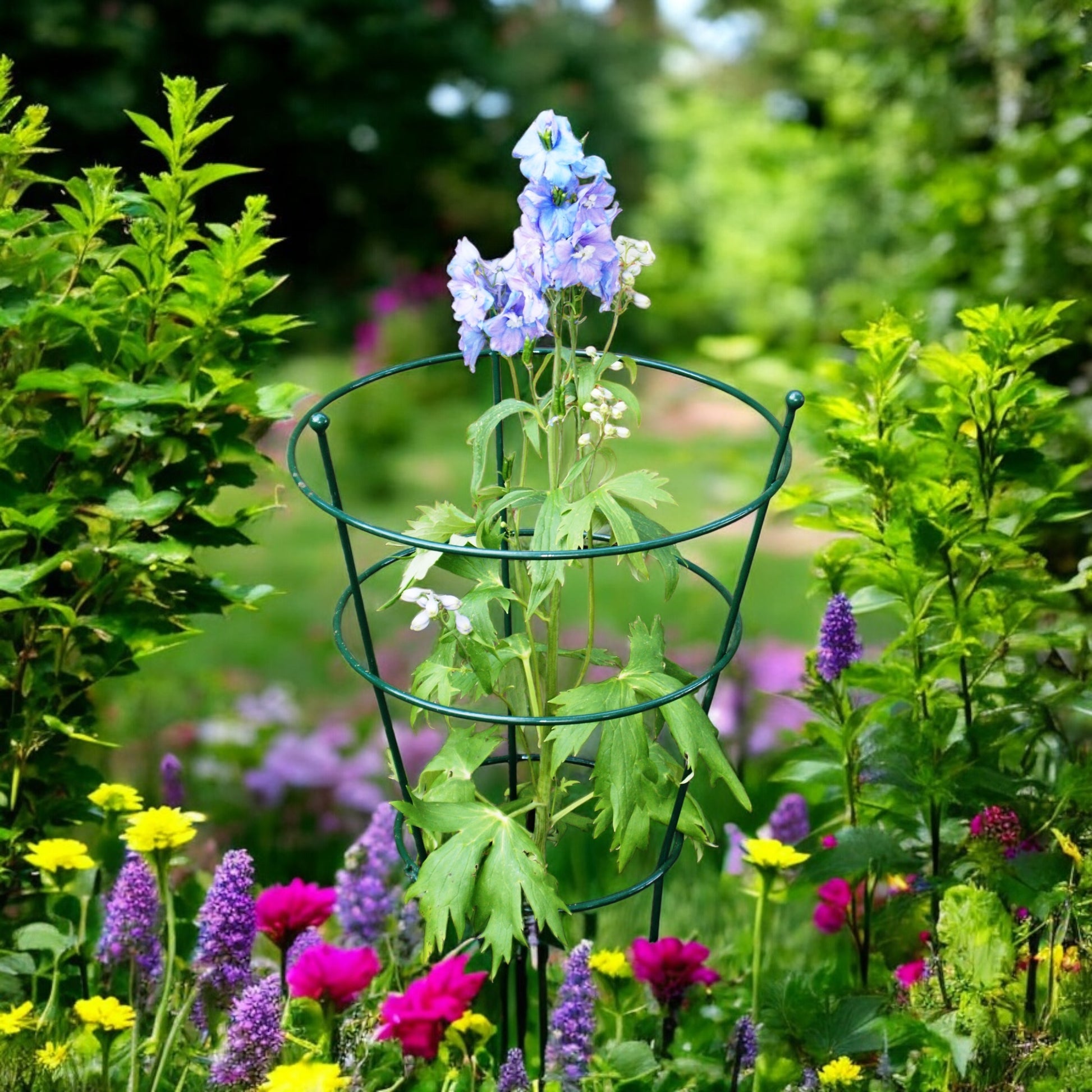 Round Peony Support Cage from Fig and Rose.