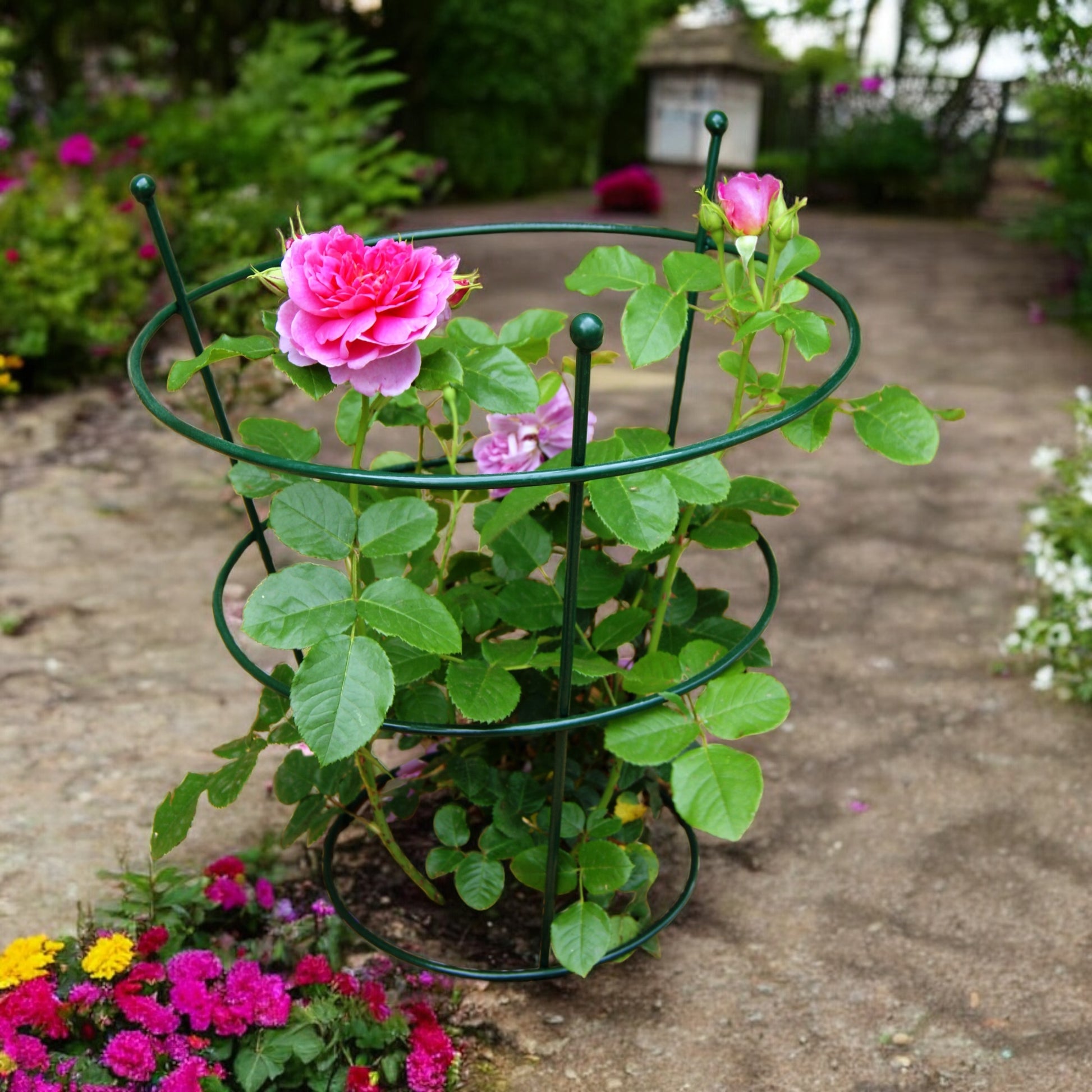 Round Peony Support Cage from Fig and Rose.