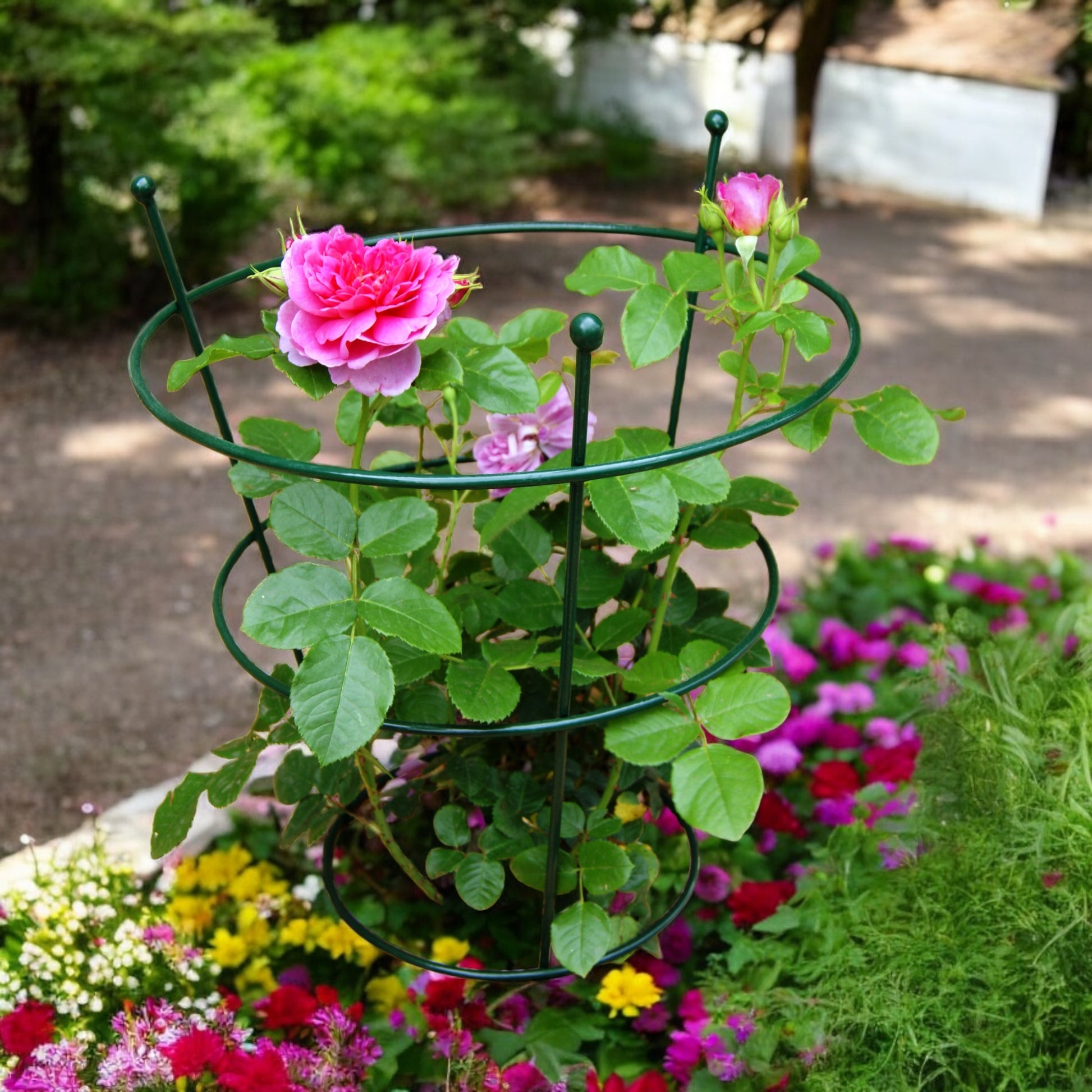 Round Peony Support Cage from Fig and Rose.