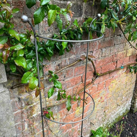 plant supports for climbers from Fig and Rose