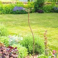 Cow Parsley | Rusty Flower Stake | Plant Support | 115cm | 130cm - Collection Only**