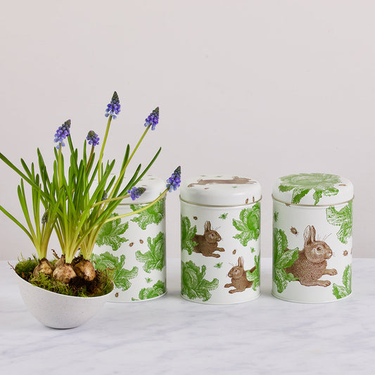 Thornback & Peel Tin Caddies - Rabbit & Cabbage from Fig and Rose