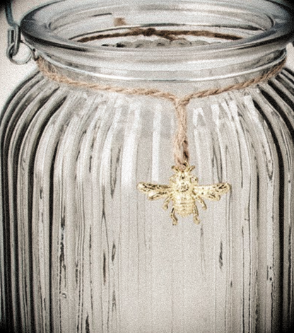 A Glass T Light Holders - Bee & Dragon Fly charms from Fig and Rose.