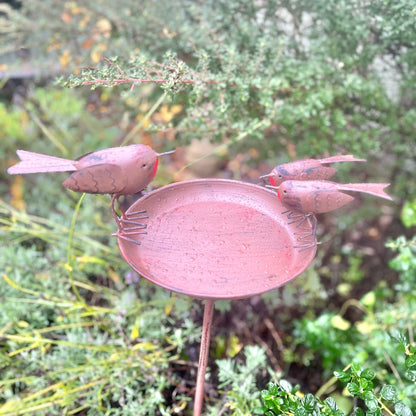 A robin bird bath from Fig and Rose. 